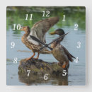 Search for wild duck art Cute