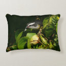 Search for tropical birds cushions Yellow
