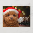 Search for poodle christmas cards Red