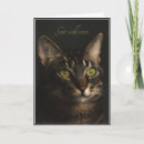 Search for watercolor get well cards Cat