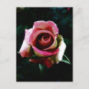 Search for romantic painting postcards Nature