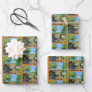 Search for trout wrapping paper River