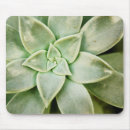 Search for electronic computer photography Botanical