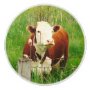 Search for cow knobs and pulls Brown