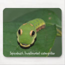 Search for caterpillar mouse mats Butterfly