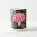 Search for amanita mugs Fungus