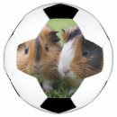 Search for baby footballs Animal
