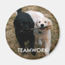 Search for black lab magnets Puppy