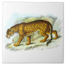 Search for vintage jaguar gifts Jungle