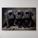 Search for wrinkled posters Puppy