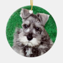 Search for miniature schnauzer dog christmas tree decorations Animal