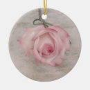Search for macro christmas tree decorations Botanical