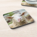 Search for herd coasters Sheep