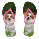 Search for toy flipflops Pet