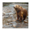 Search for stream tiles Rocks