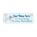 Search for cute seal pup Funny