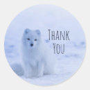 Search for arctic fox stickers Nature