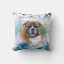 Search for rainbow bridge cat poem Dog