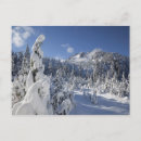 Search for idyll postcards Rural