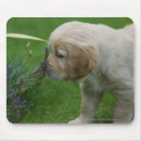 Search for coat stand mouse mats Retriever golden