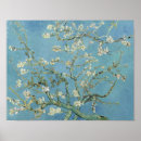 Search for white floral posters Flowers