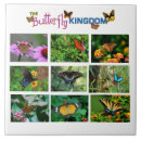 Search for butterfly tiles Wildlife