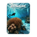Search for bonaire magnets Souvenir