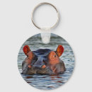 Search for hippo key rings Wildlife