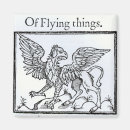 Search for hybrids magnets Flying