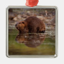 Search for denali national park christmas tree decorations Usa