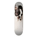 Search for terriers skateboards Animal