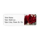 Search for baby breath return address labels Flower