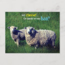 Search for grass green cards Animal