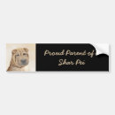 Search for pei bumper stickers Dog
