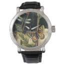 Search for dragonfly watches Insect