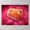 Search for biochemistry posters Close up