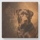 Search for lab coasters Pet