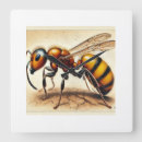 Search for top view art Animals
