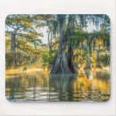 Search for cypress tree mouse mats Forest