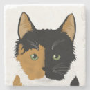 Search for calico cat coasters Pets