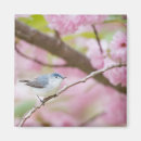 Search for bird tree magnets Flowers