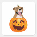 Search for funny pitbull stickers Cute