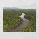 Search for nature reserve postcards Rainforest
