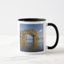 Search for jurassic mugs Geology