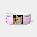 Search for two pet supplies Cats