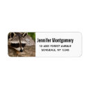 Search for resting return address labels Photography