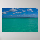 Search for turquoise posters Coastal