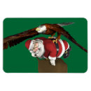 Search for falconry cards Bird of prey