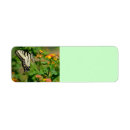 Search for butterfly wings return address labels Insect