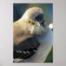 Search for mockingbird art posters Animal